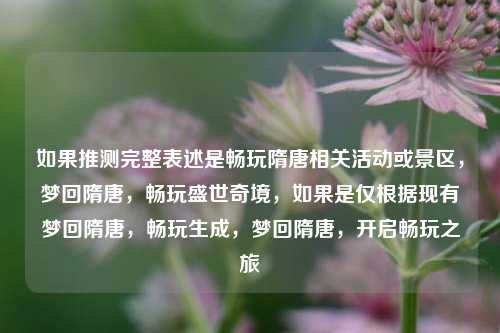 如果推测完整表述是畅玩隋唐相关活动或景区，梦回隋唐，畅玩盛世奇境，如果是仅根据现有梦回隋唐，畅玩生成，梦回隋唐，开启畅玩之旅