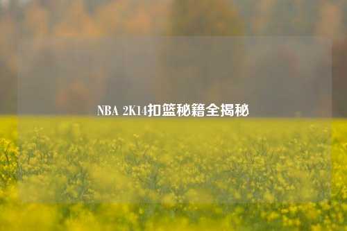 NBA 2K14扣篮秘籍全揭秘