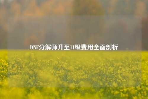 DNF分解师升至11级费用全面剖析