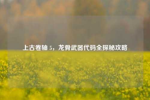 上古卷轴 5，龙骨武器代码全探秘攻略