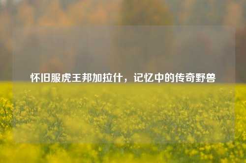 怀旧服虎王邦加拉什，记忆中的传奇野兽
