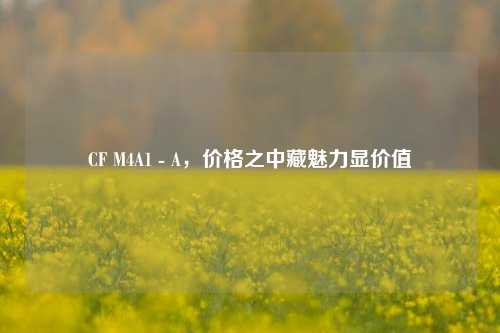 CF M4A1 - A，价格之中藏魅力显价值
