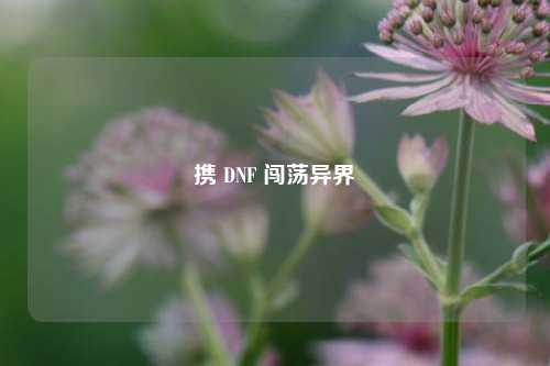 携 DNF 闯荡异界