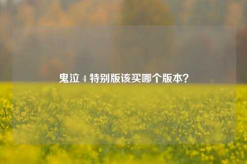 鬼泣 4 特别版该买哪个版本？