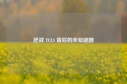 逆战 TCLS 背后的未知谜团