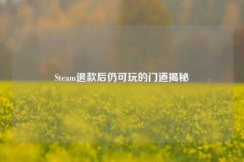 Steam退款后仍可玩的门道揭秘
