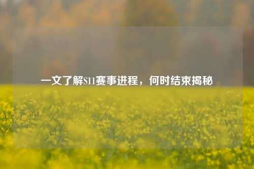 一文了解S11赛事进程，何时结束揭秘