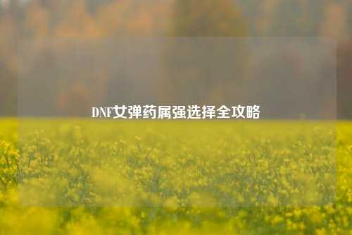 DNF女弹药属强选择全攻略