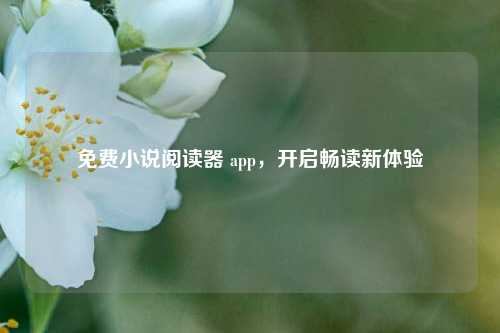免费小说阅读器 app，开启畅读新体验