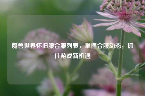 魔兽世界怀旧服合服列表，掌握合服动态，抓住游戏新机遇