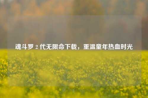 魂斗罗 2 代无限命下载，重温童年热血时光