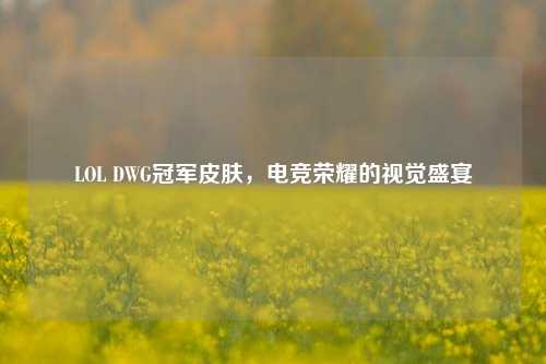LOL DWG冠军皮肤，电竞荣耀的视觉盛宴