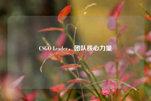 CSGO Leader，团队核心力量