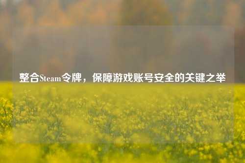 整合Steam令牌，保障游戏账号安全的关键之举