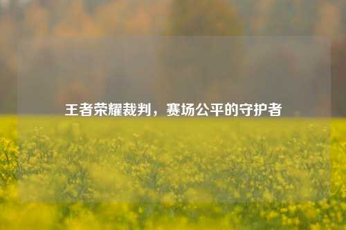 王者荣耀裁判，赛场公平的守护者