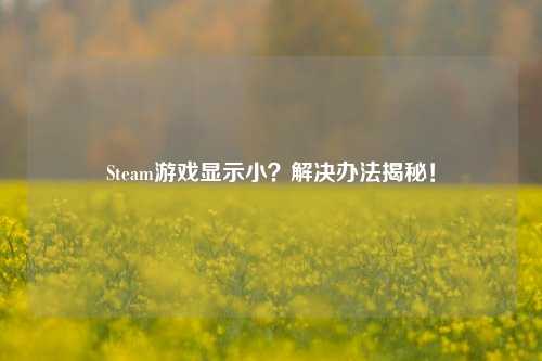 Steam游戏显示小？解决办法揭秘！