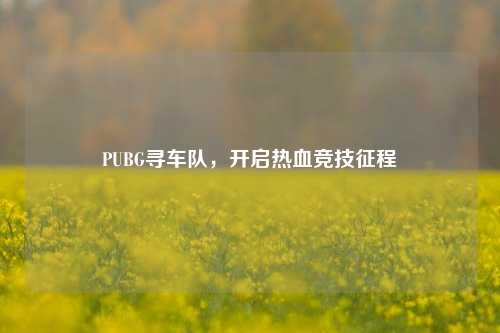 PUBG寻车队，开启热血竞技征程
