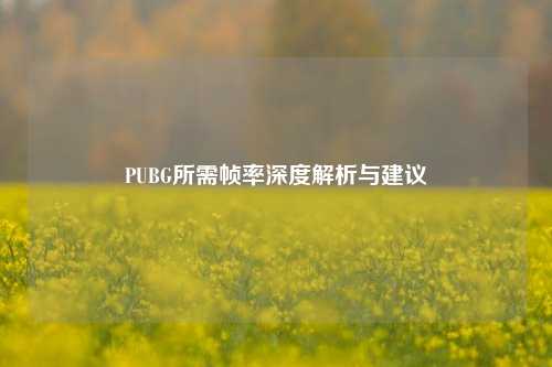 PUBG所需帧率深度解析与建议