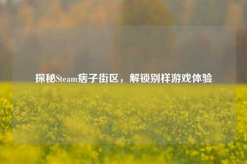 探秘Steam痞子街区，解锁别样游戏体验