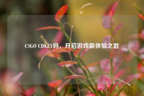 CSGO CDKEY码，开启游戏新体验之匙