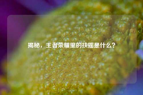 揭秘，王者荣耀里的扶摇是什么？