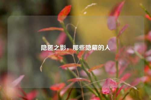 隐匿之影，那些隐藏的人