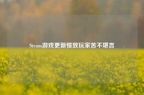 Steam游戏更新慢致玩家苦不堪言