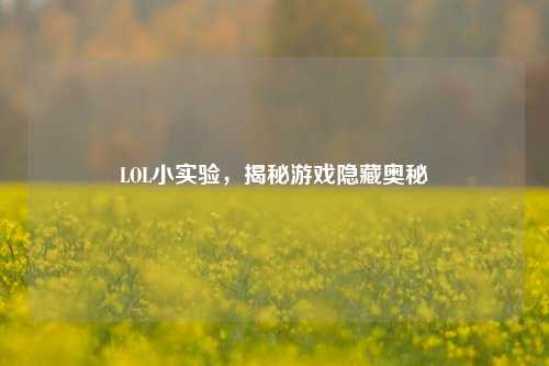 LOL小实验，揭秘游戏隐藏奥秘
