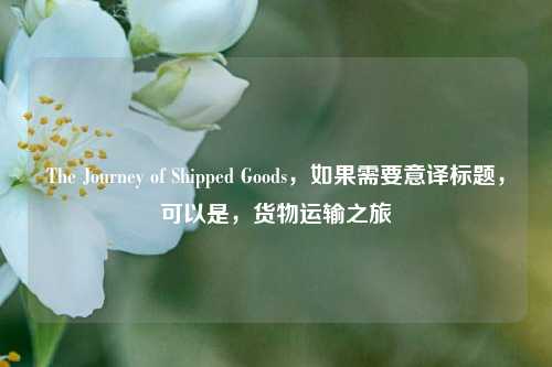 The Journey of Shipped Goods，如果需要意译标题，可以是，货物运输之旅