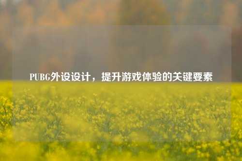 PUBG外设设计，提升游戏体验的关键要素
