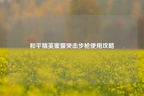 和平精英蜜獾突击步枪使用攻略