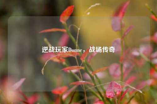 逆战玩家Donne，战场传奇