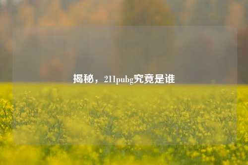 揭秘，211pubg究竟是谁
