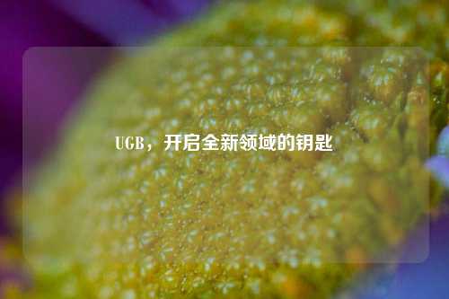 UGB，开启全新领域的钥匙