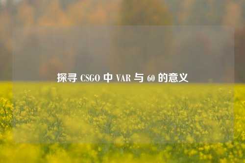探寻 CSGO 中 VAR 与 60 的意义