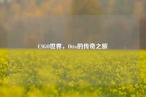 CSGO世界，Otto的传奇之旅
