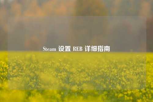 Steam 设置 REB 详细指南