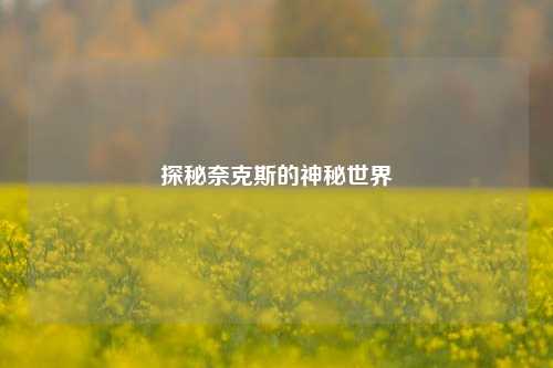 探秘奈克斯的神秘世界