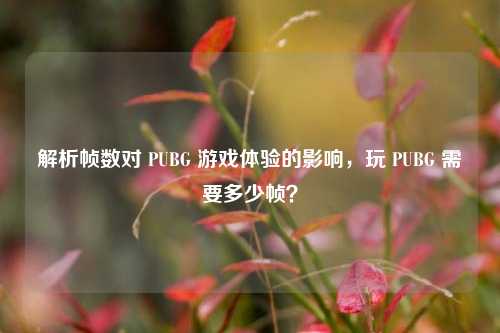 解析帧数对 PUBG 游戏体验的影响，玩 PUBG 需要多少帧？