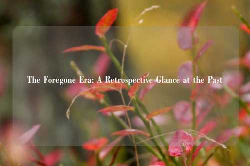 The Foregone Era: A Retrospective Glance at the Past