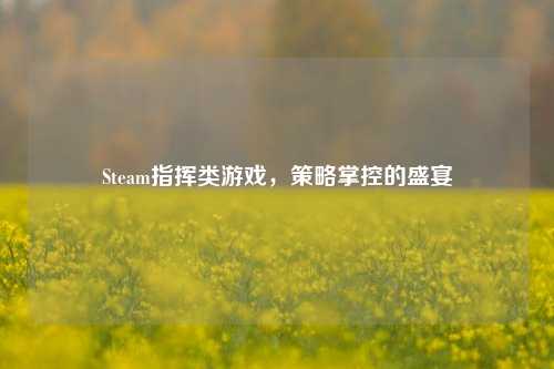 Steam指挥类游戏，策略掌控的盛宴