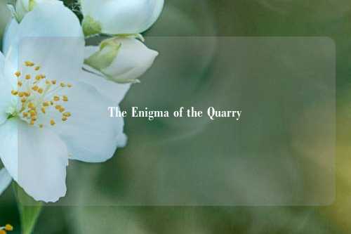 The Enigma of the Quarry