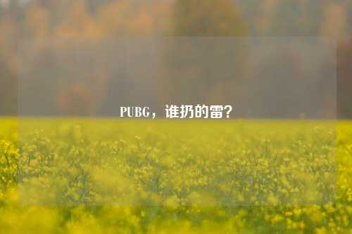 PUBG，谁扔的雷？
