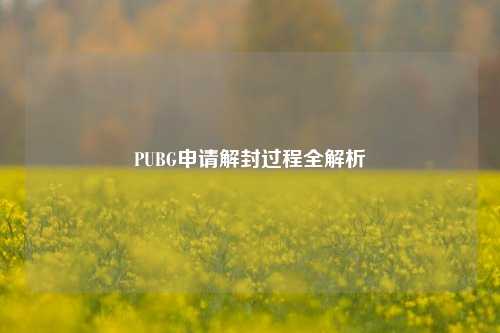PUBG申请解封过程全解析