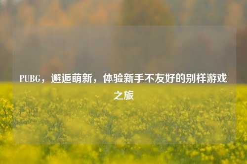 PUBG，邂逅萌新，体验新手不友好的别样游戏之旅