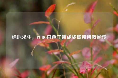 绝地求生，PUBG白色工装成战场独特风景线