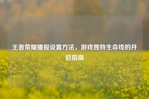 王者荣耀播报设置方法，游戏独特生命线的开启指南