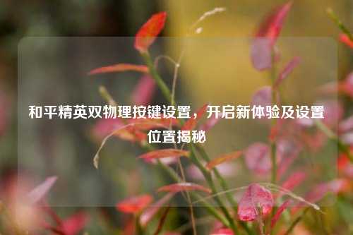 和平精英双物理按键设置，开启新体验及设置位置揭秘