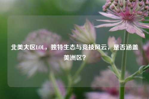 北美大区LOL，独特生态与竞技风云，是否涵盖美洲区？
