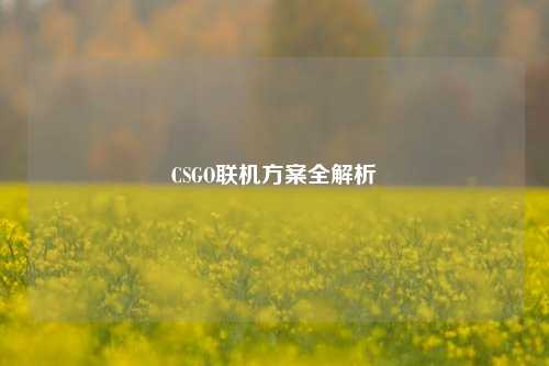 CSGO联机方案全解析